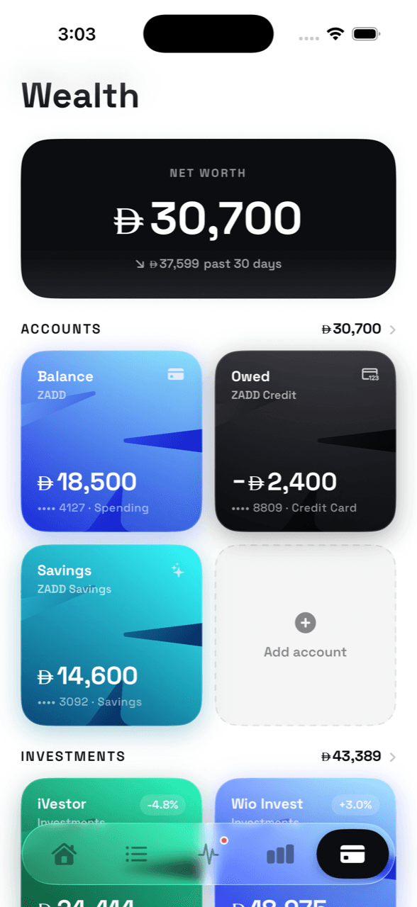 The Wealth screen: net worth with accounts, investments, and gold